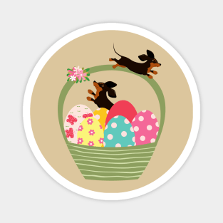 Dachshund Dog with Easter Eggs in Basket Magnet